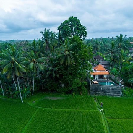 Jatining Ubud Villa & Spa Ngoại thất bức ảnh