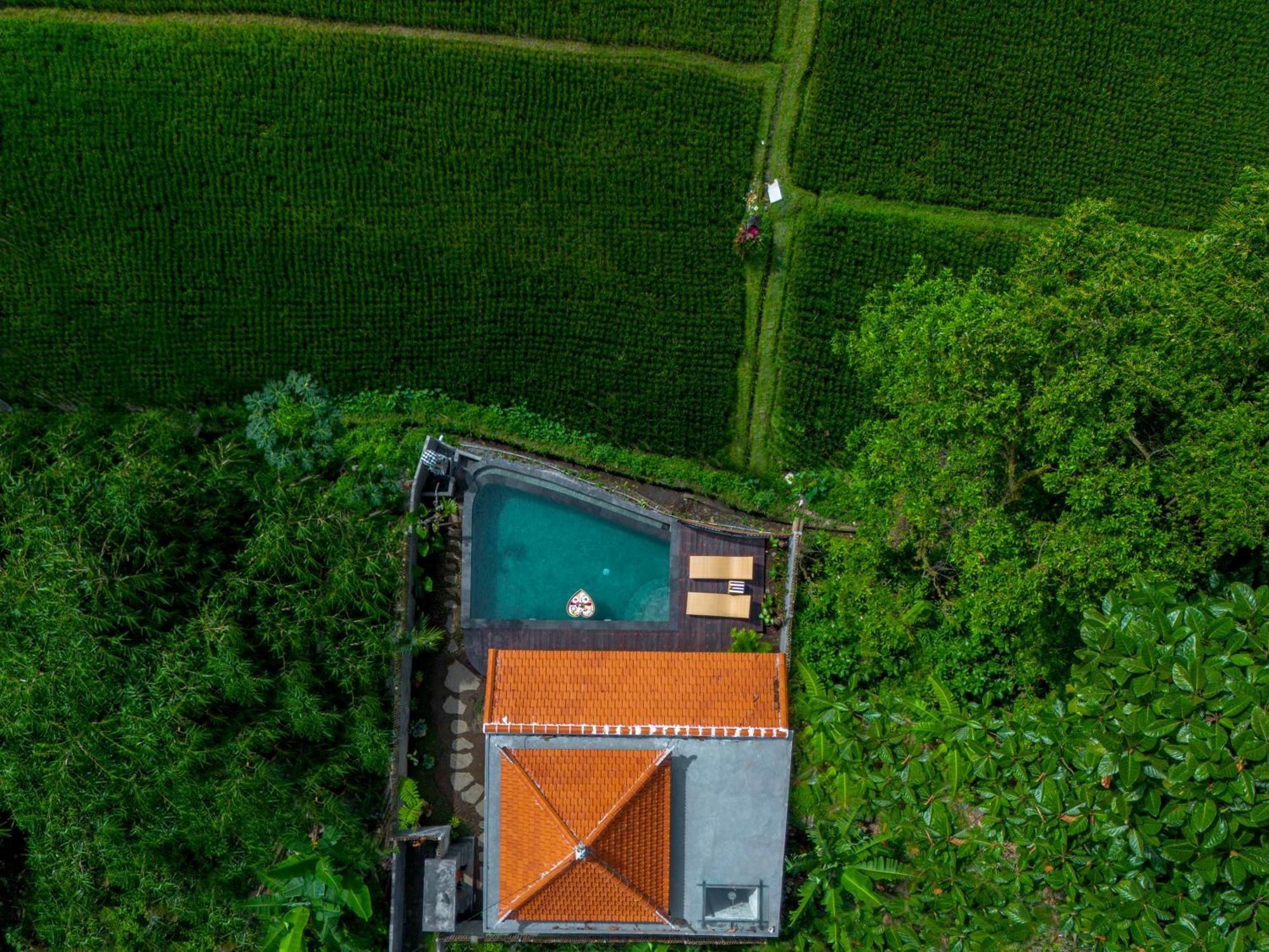 Jatining Ubud Villa & Spa Ngoại thất bức ảnh